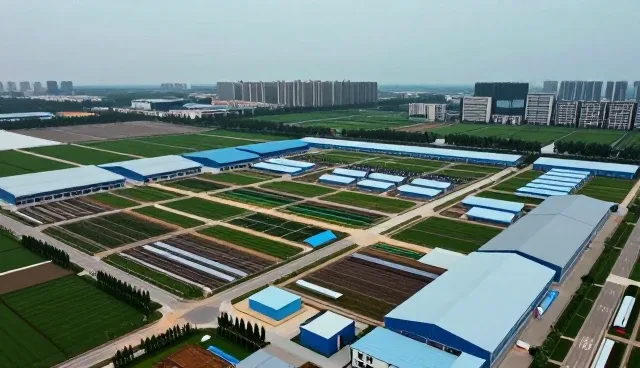 教育机构如何在学习规划中把握业务发展趋势